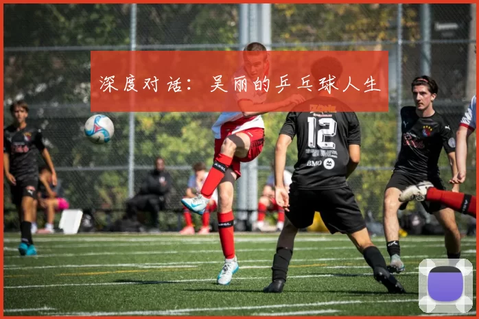 深度对话：吴丽的乒乓球人生