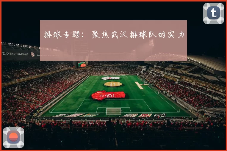 排球专题：聚焦武汉排球队的实力