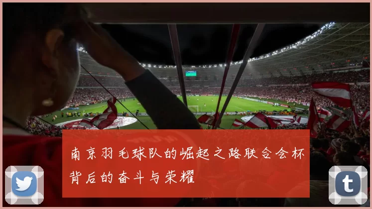 南京羽毛球队的崛起之路联合会杯背后的奋斗与荣耀
